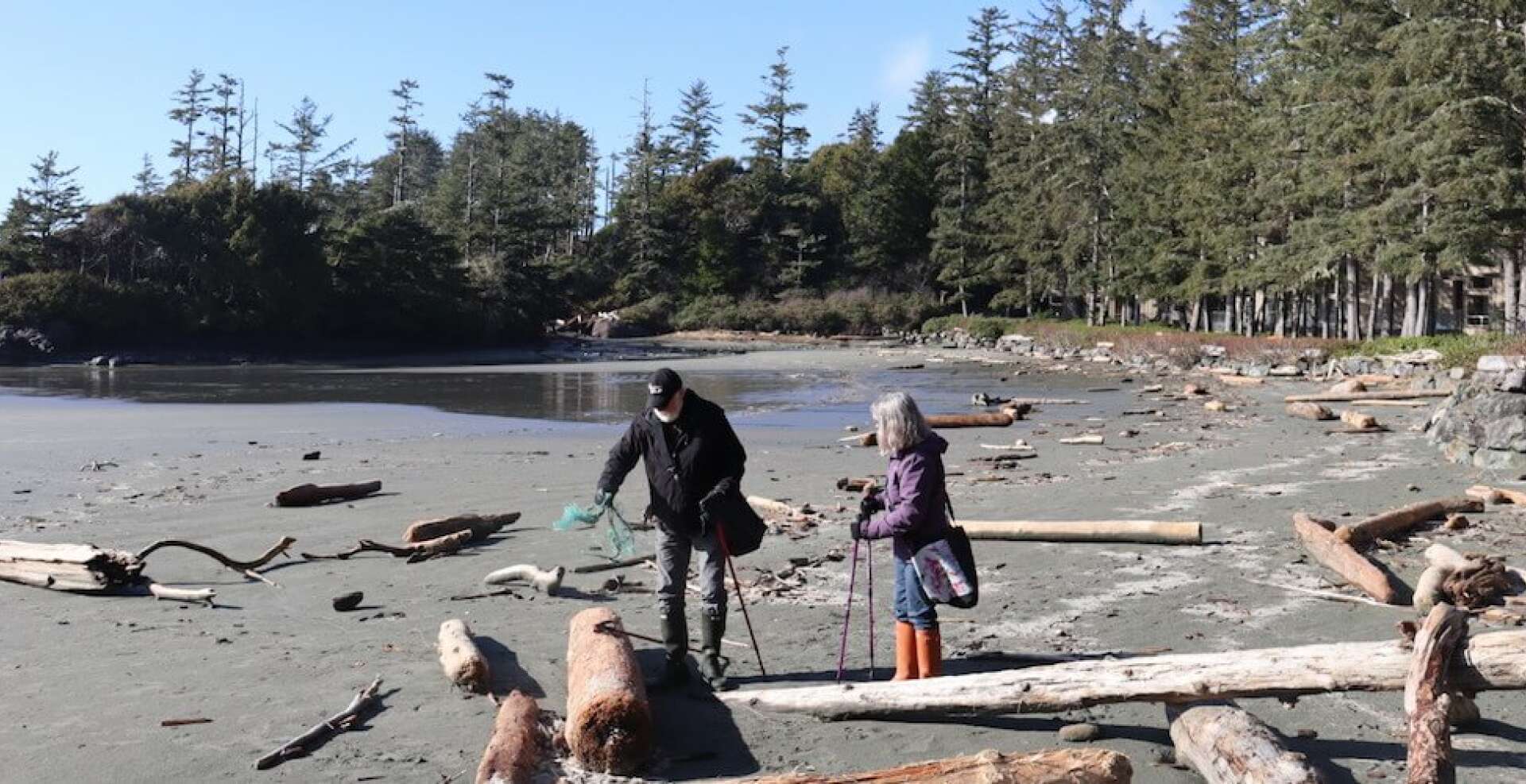 GUEST STARS: Wayne’s World of Beach Art