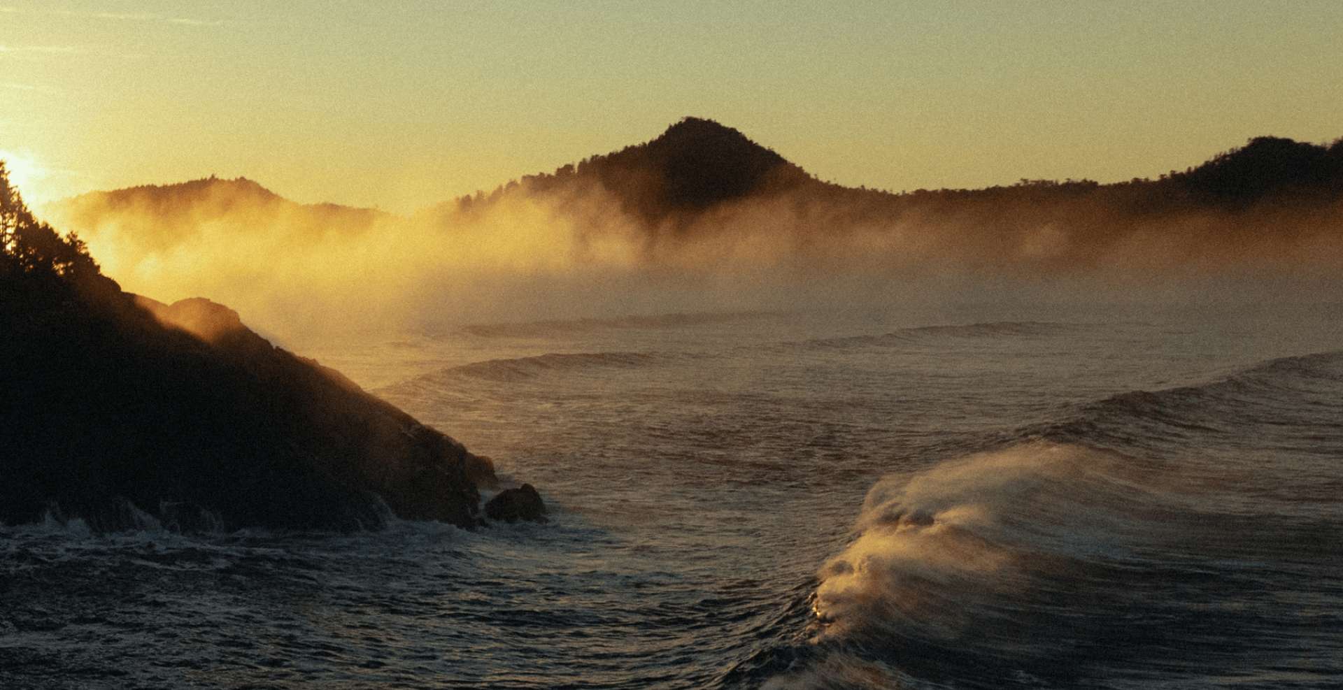 Tofino Storm Watching 101