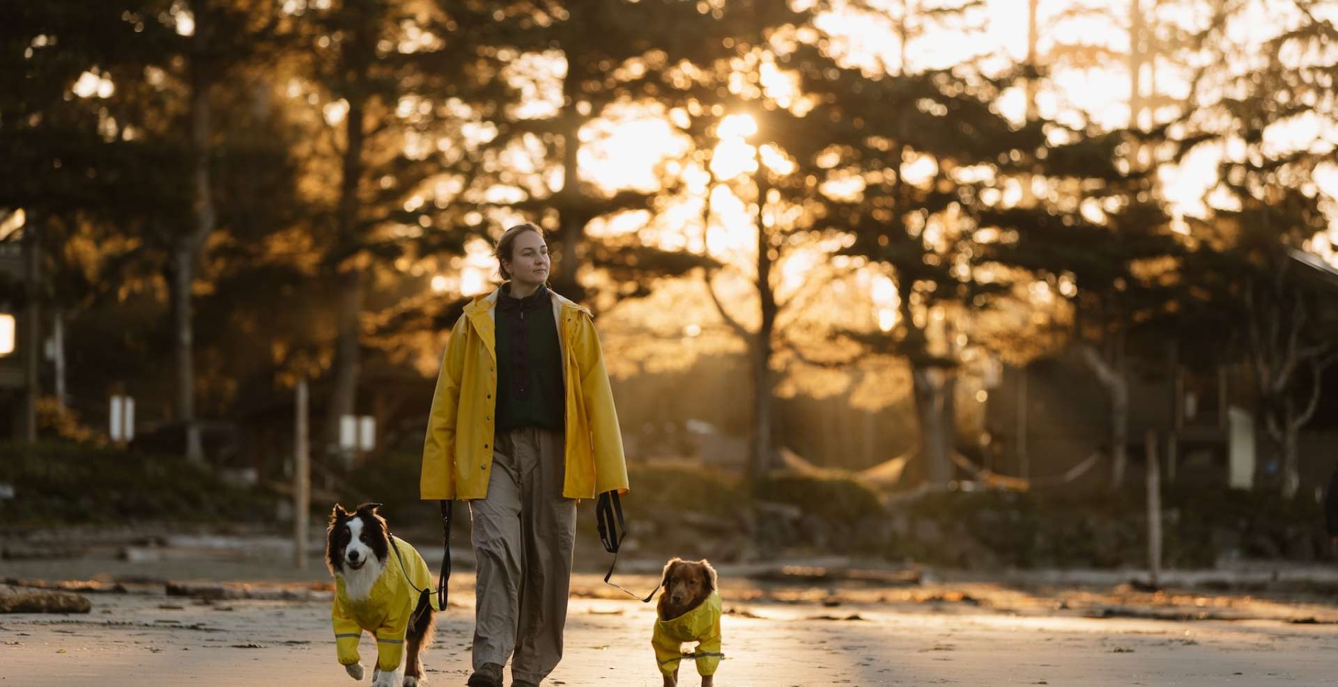 The Dogs Have Spoken! Honest Reviews from Dog-Friendly Tofino
