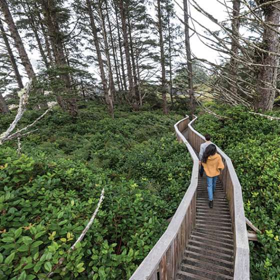 PS_Lifestyle_Trail_NHendrickson_2019_N0A0458_627x590