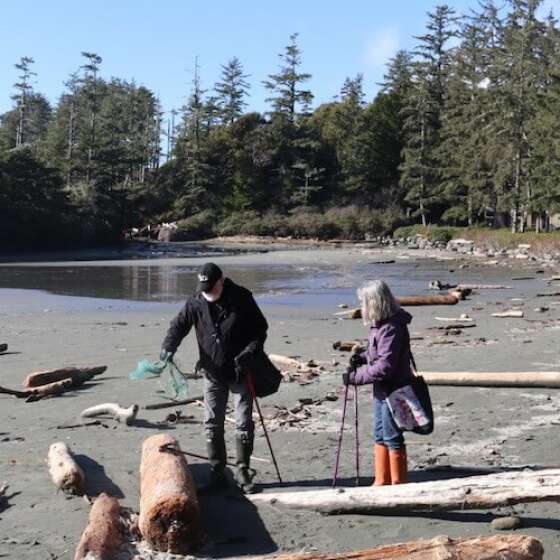 GUEST STARS: Wayne’s World of Beach Art