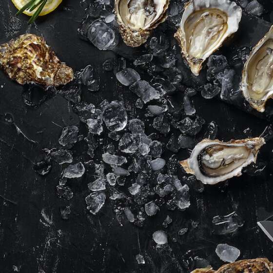 Stay + Shuck at the 2022 Tofino Oyster Fest