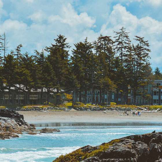 Summer Daze in Tofino