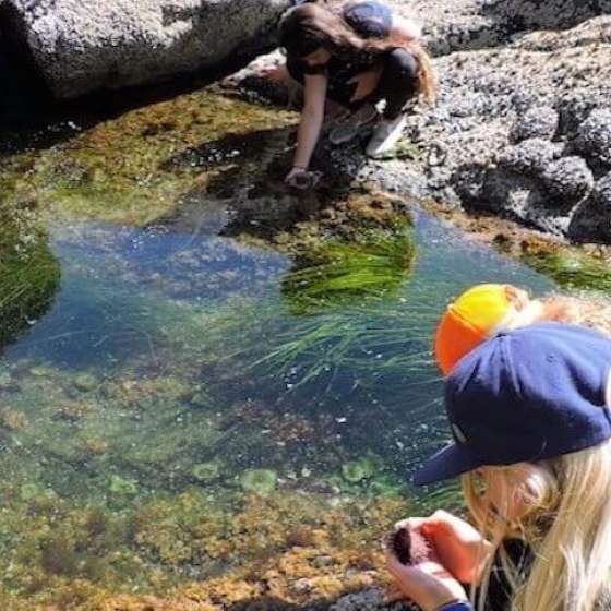Make a Playdate With Your Own Kids