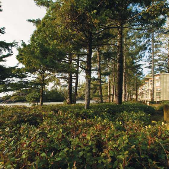 PS_BeachHouse_Exterior_HKang_7134_2012