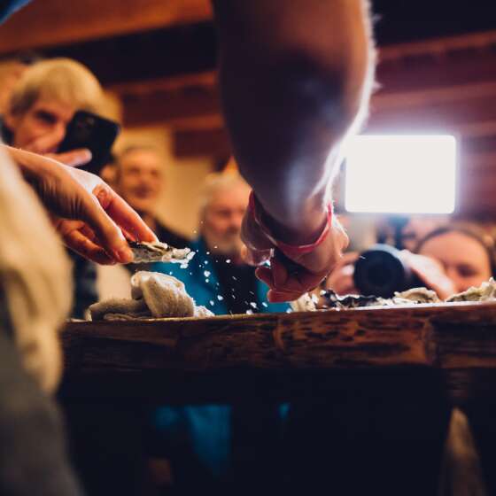 Shell-abrate at the 2023 Tofino Oyster Festival