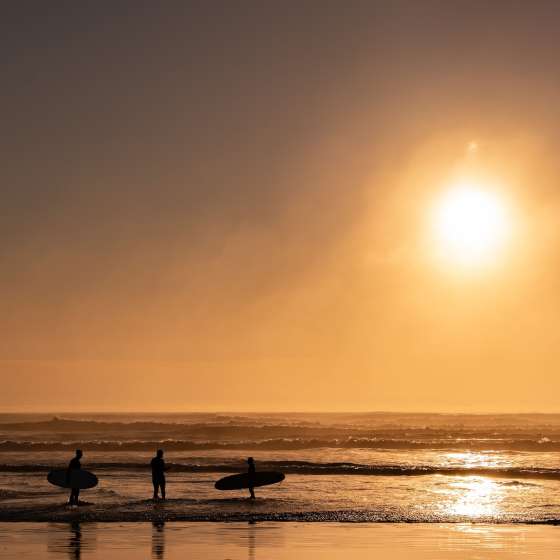 Weekend Getaways from Vancouver: Why Tofino Belongs on Your 2026 Travel List