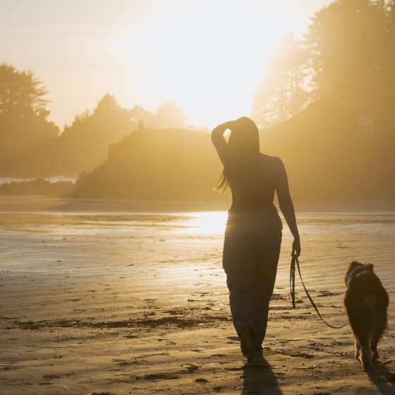 Pet Friendly Tofino Accommodation Your Dog Will Love as Much as You Do