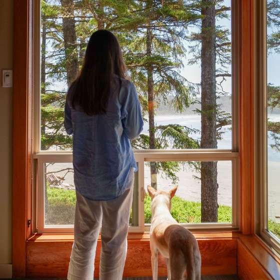 beachhousedogowner
