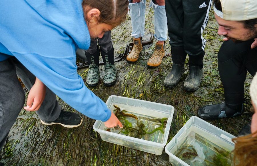 Family activities Tofino - Raincoast Education Society