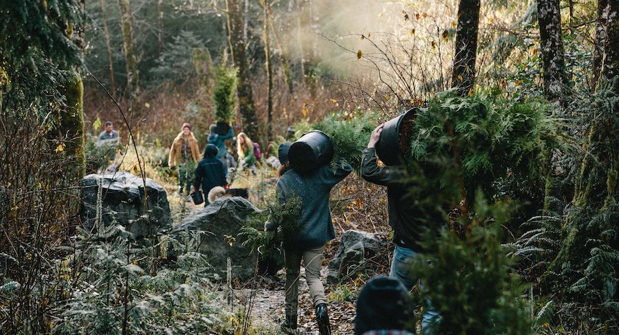 Tofino family activities - Redd Fish Restoration Society