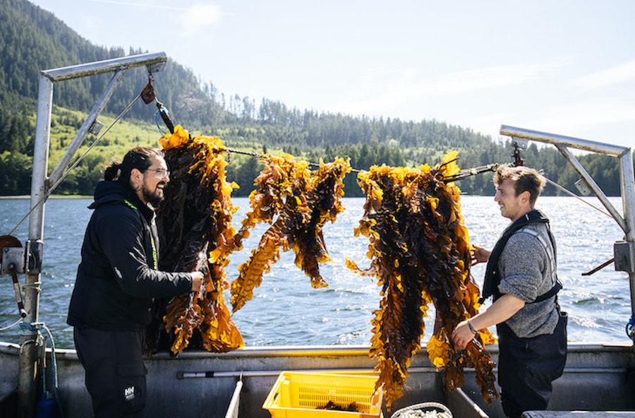 NAAS Foods co-founders, Stevie Dennis and Jordan White - Tofino, BC