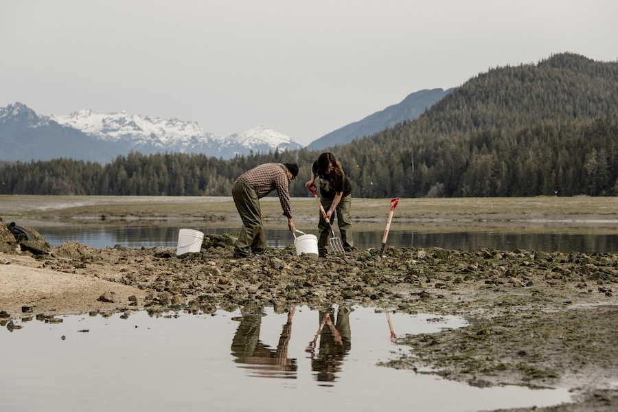 Connect with First Nation's history and traditions at naa?uu 2024 in Tofino.