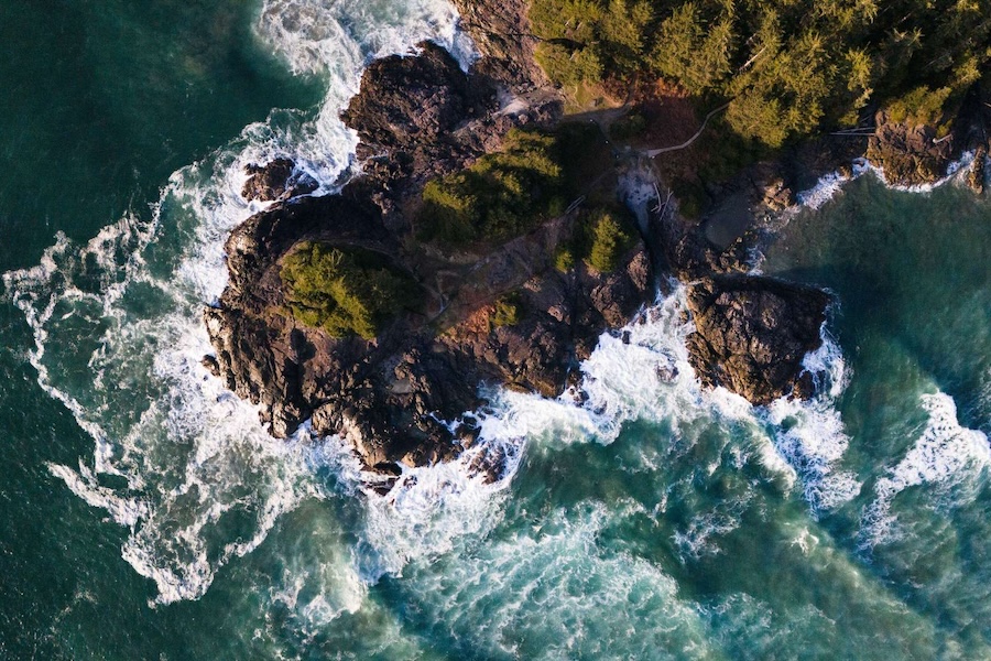 veritree - Reforestation with Every Stay at Pacific Sands - Tofino, BC