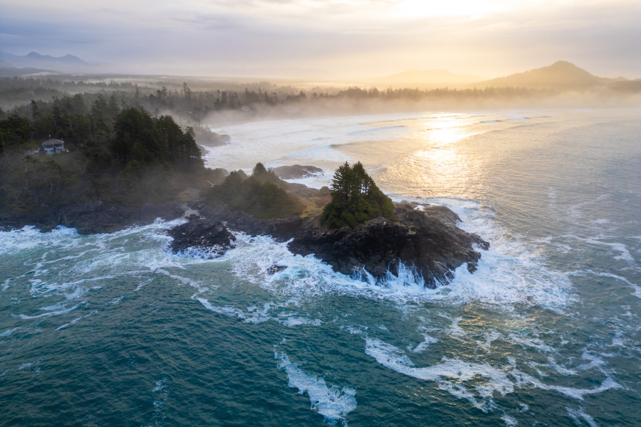 Forest bathing at Pettinger Point in Tofino, BC is more than just a walk in the woods; it’s an experience that connects you to nature, to the moment, and to yourself.