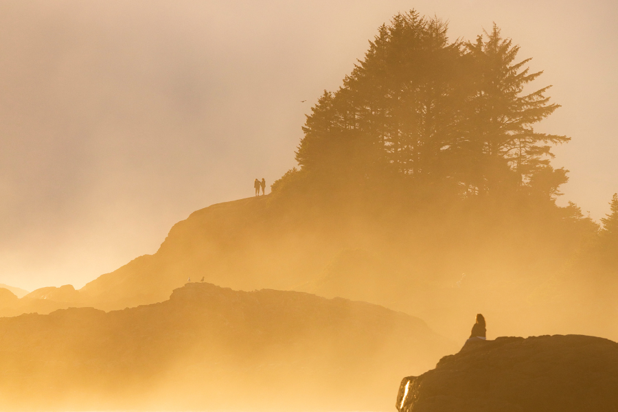 Gazing out at the horizon over the Pacific Ocean on Pettinger Point - Pacific Sands, Tofino, BC