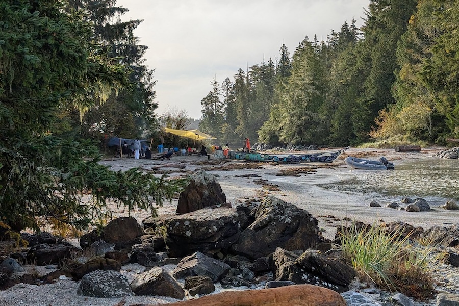 Support sustainability in Clayoquot Sound with the CBT Holiday Giving Catalogue