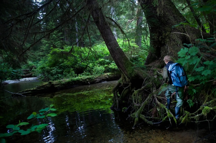 Support sustainability in Clayoquot Sound with the CBT Holiday Giving Catalogue