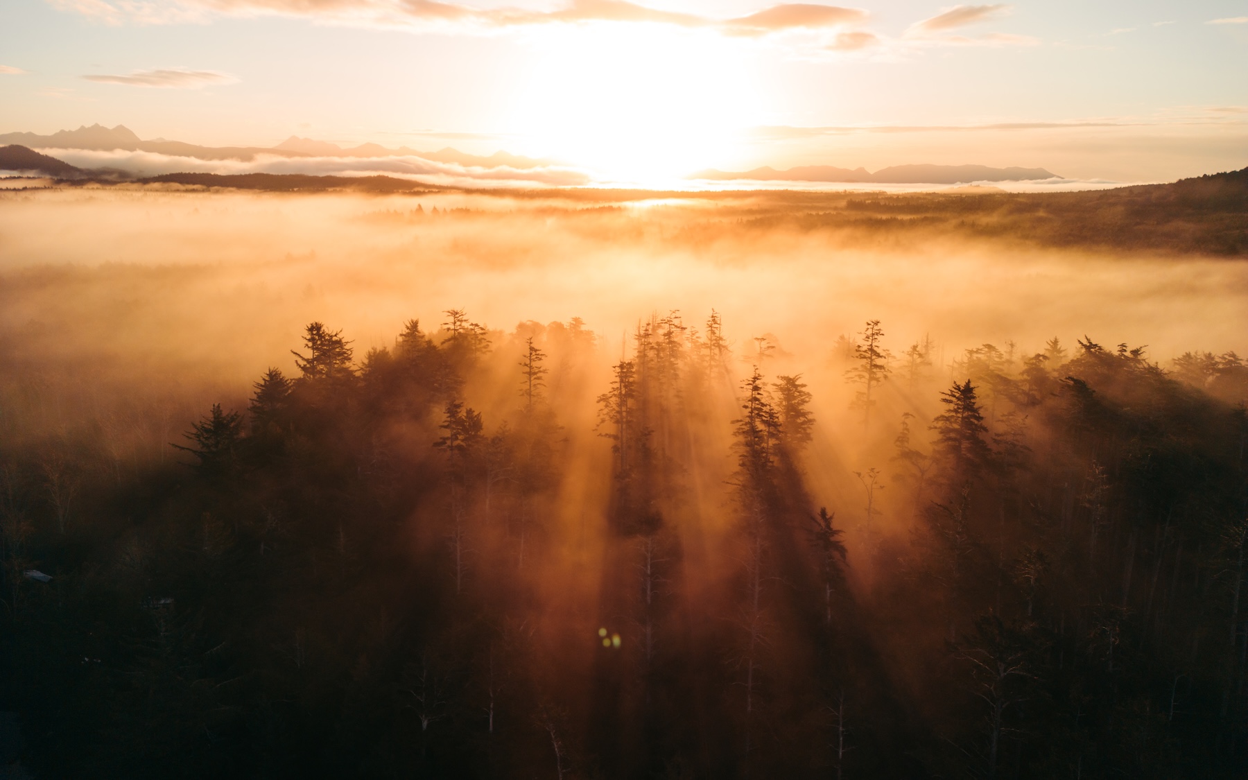 How we’re celebrating Earth Month with products that put the planet first - Pacific Sands Beach Resort, Tofino, BC