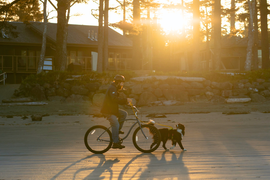 Pet friendly Tofino - Pacific Sands, Tofino, BC