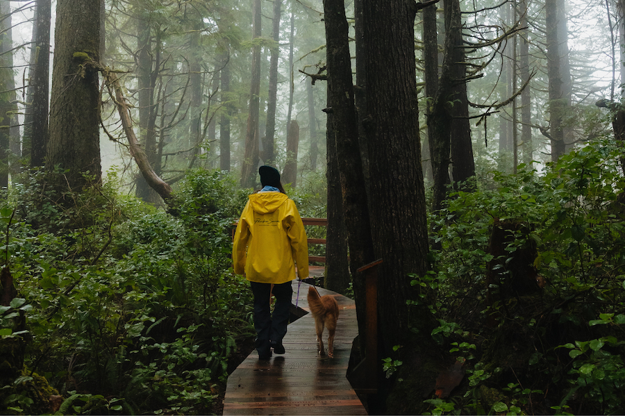 Pet friendly activities at Pacific Sands, Tofino, BC