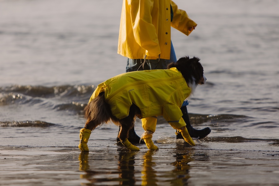 Dog-friendly Tofino - Pacific Sands Beach Resort
