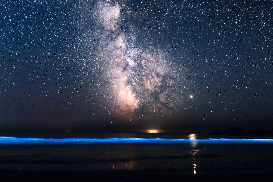 Milky Way and bioluminescence Tofino - Why Tofino Stargazing is Having a Moment - Pacific Sands