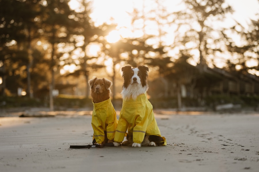 Friendly Tofino - Pacific Sands Beach Resort, Tofino, BC