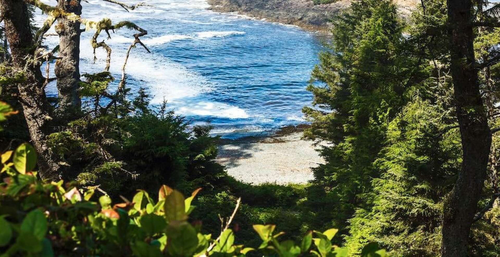 5 More Breathtaking Tofino Hikes to Explore