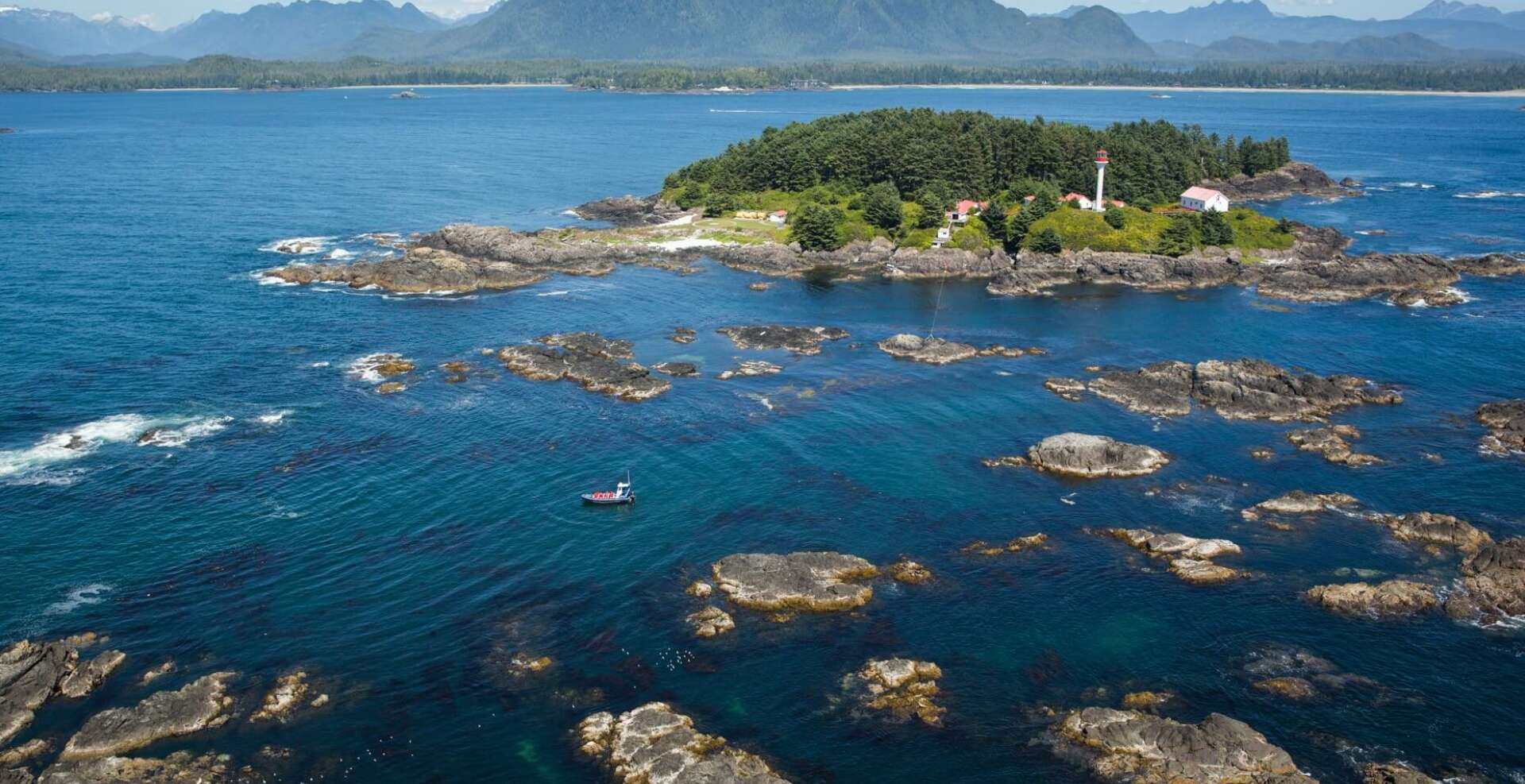 The Annual 20,000 Kilometre Commute: Whale Watching in Tofino, BC