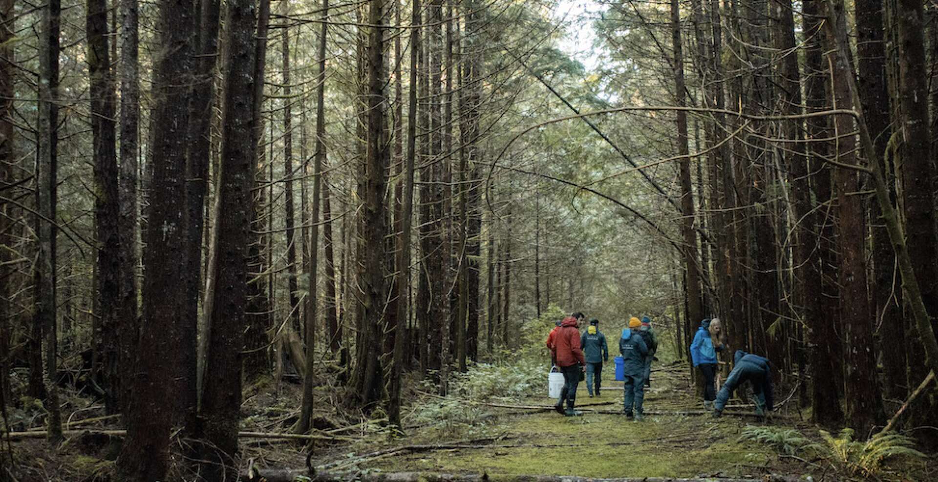 Wild Food and Foraging Adventures in Tofino