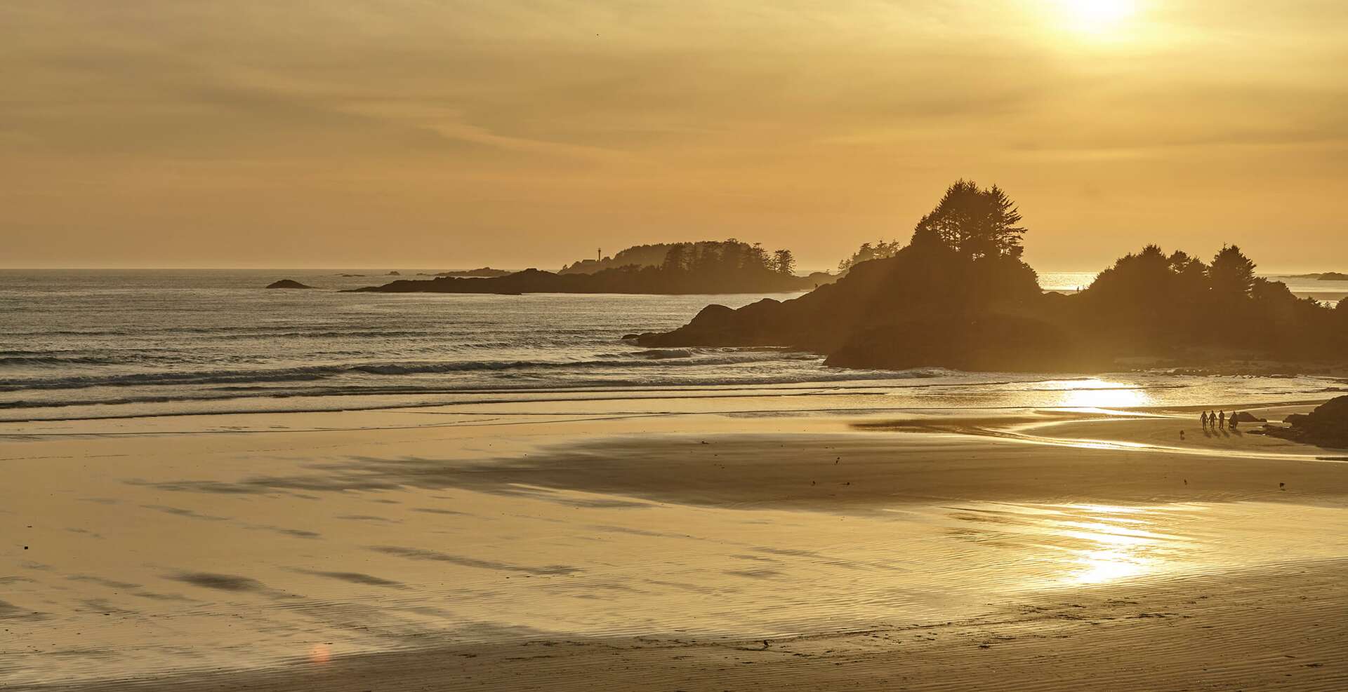 TOFINO WEBCAMS