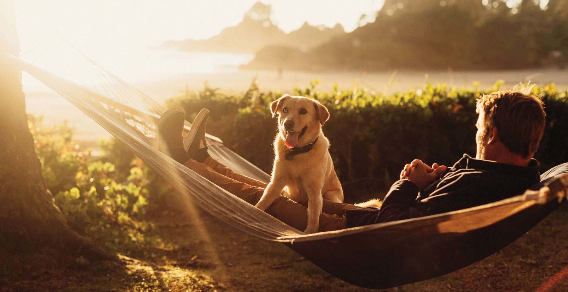 PS_Life_Pet_Hammock_HKang_3707_2018