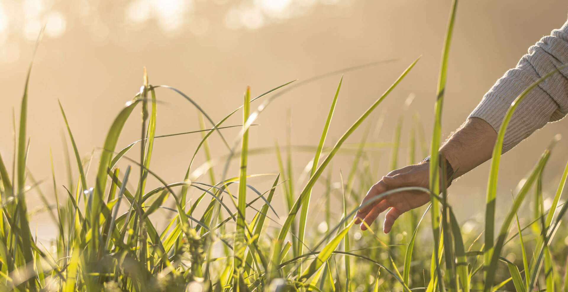 Wellness Starts With Self-care