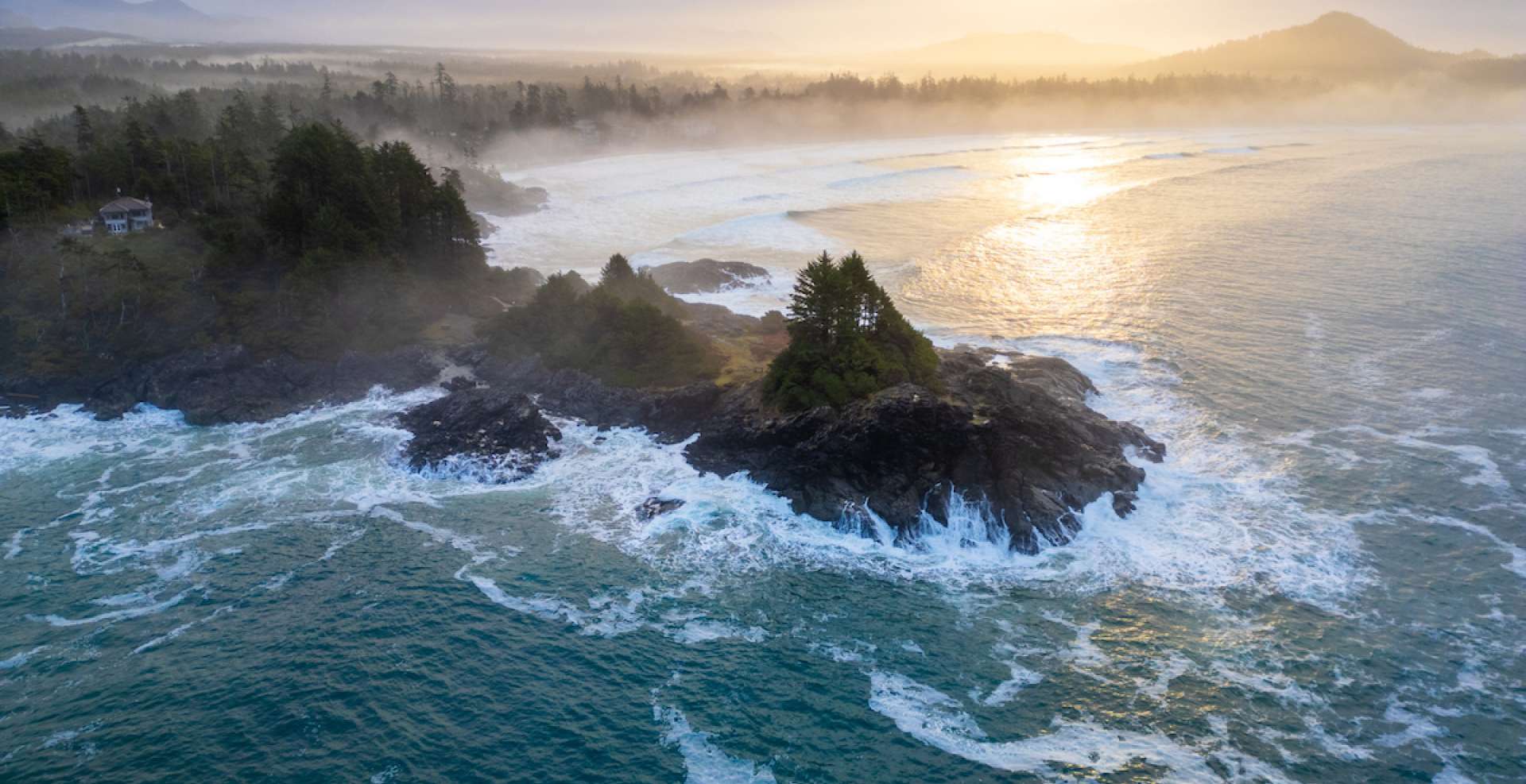Forest Bathing at Pettinger Point: A Tofino Experience for Your Soul