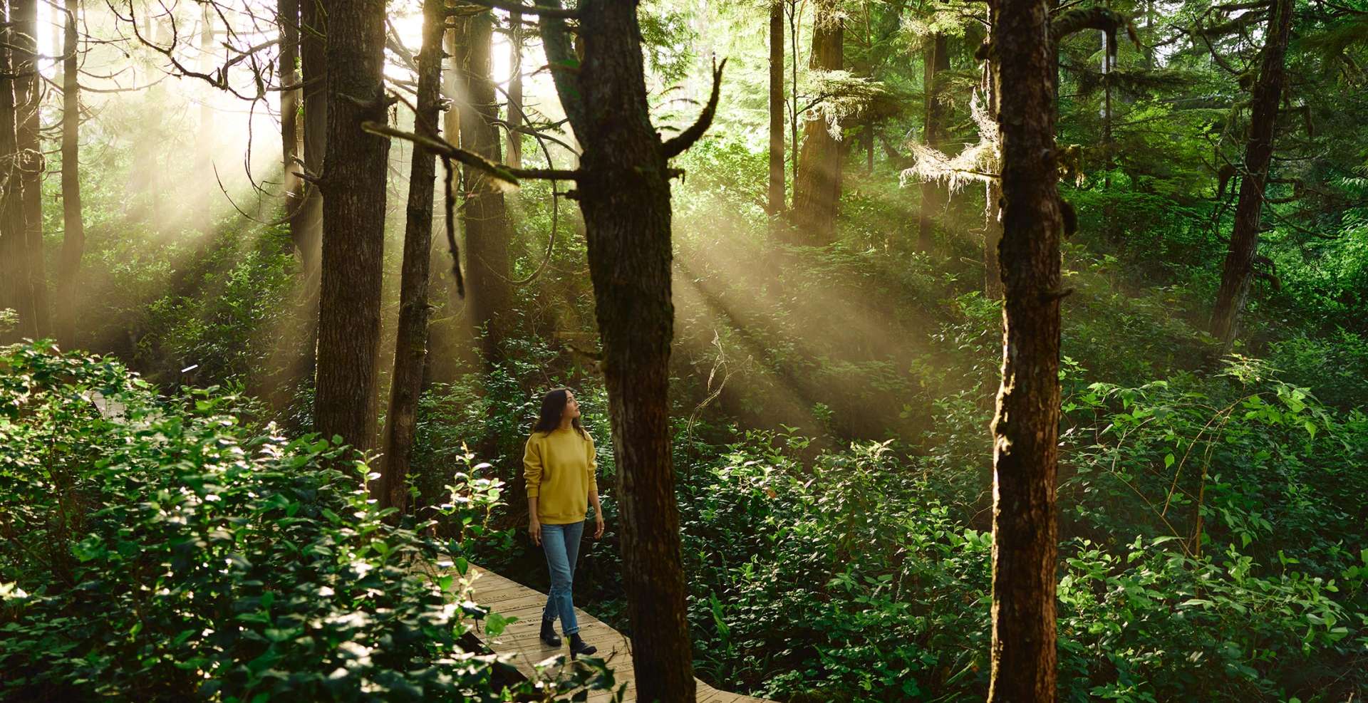 Top Tofino Experiences