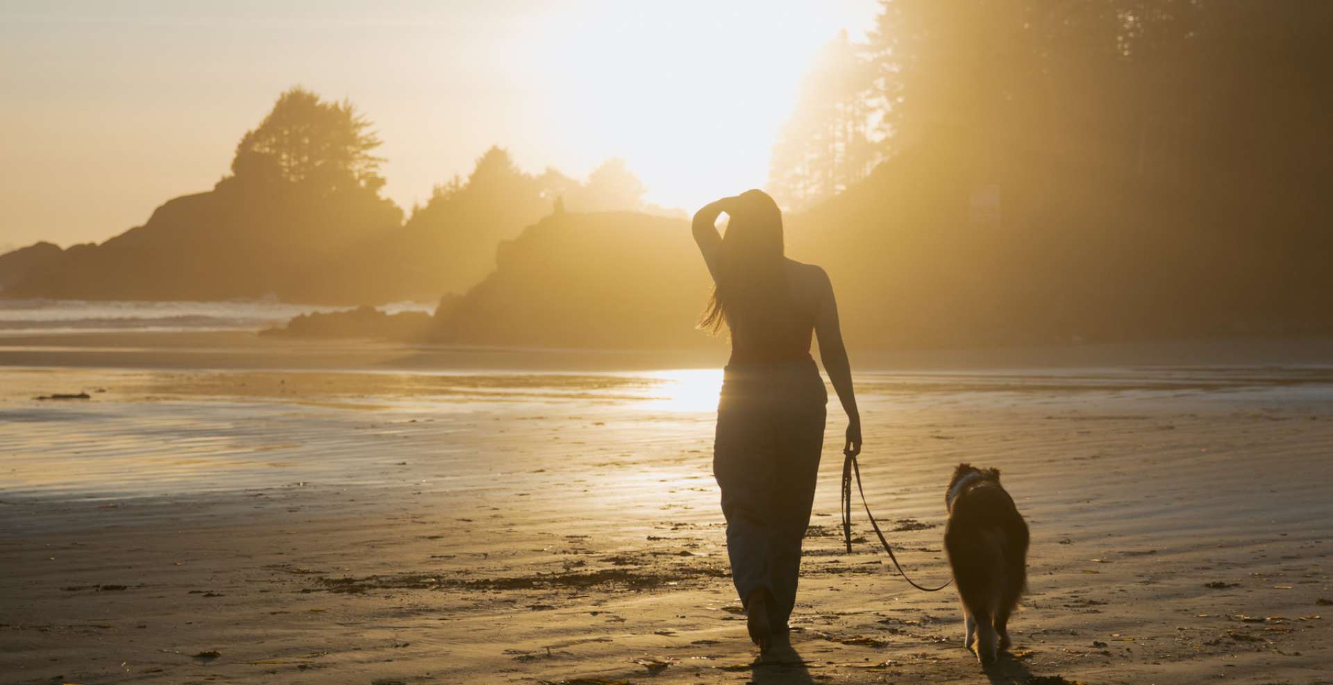 Pet Friendly Tofino Accommodation Your Dog Will Love as Much as You Do
