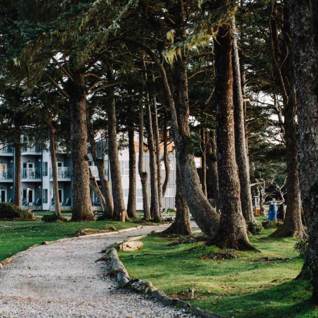 Oceanside 15 Fall Savings