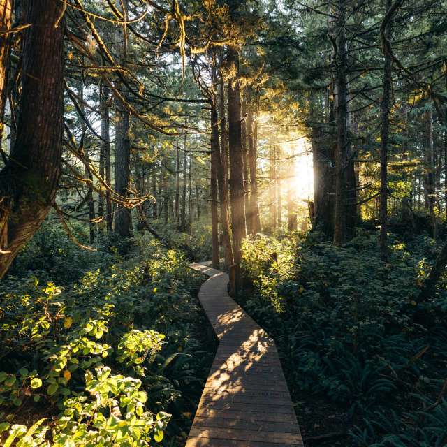 Pettinger Point Boardwalk