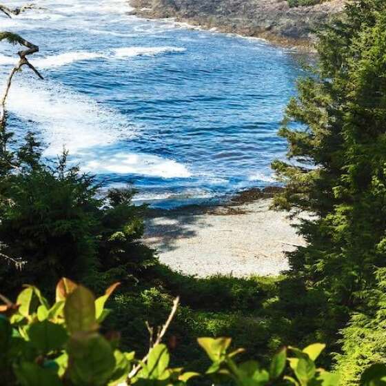 5 More Breathtaking Tofino Hikes to Explore