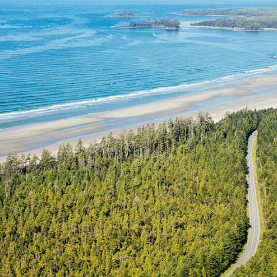 Enjoy the Journey to Tofino: Top Stops Along the Way