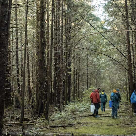 Wild Food and Foraging Adventures in Tofino