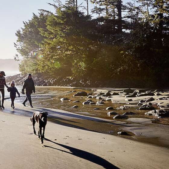 10 Ways to Experience Tofino this Fall
