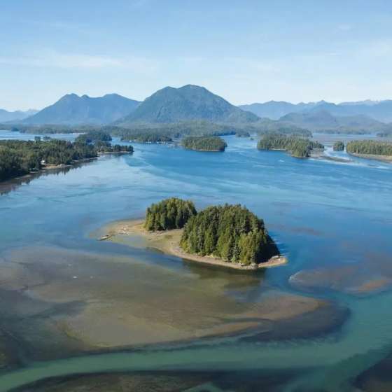 Double Your Impact: Support Sustainability in Clayoquot Sound