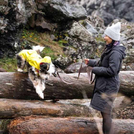 Pet Adventures at Pacific Sands Beach Resort