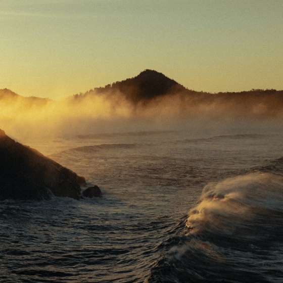 Tofino Storm Watching 101