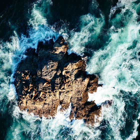 BC Artisans You’ll Spot at Pacific Sands