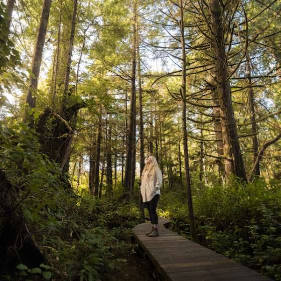 Fall in Tofino - Walking Trails - Pacific Sands, Tofino, BC