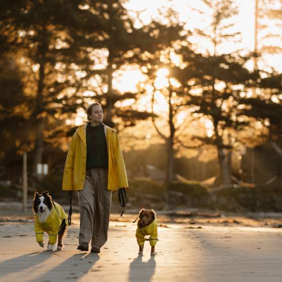 The Dogs Have Spoken! Honest Reviews from Dog-Friendly Tofino
