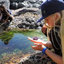 Summer Kid’s Camps